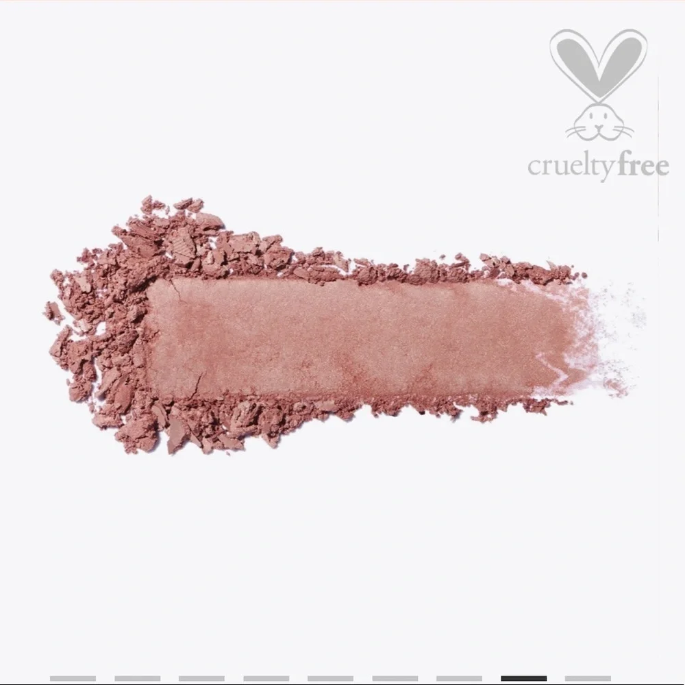 🌺 ICONIC LONDON BLAZE CHASER FACE PALETTE